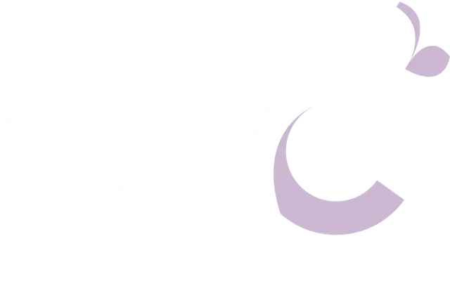 Car Injury Clinics